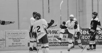 开云体育下载官网-世界冰球：加拿大队霸气夺冠，金牌大满贯！，冰球加拿大人队